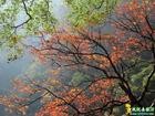 太白森林公园